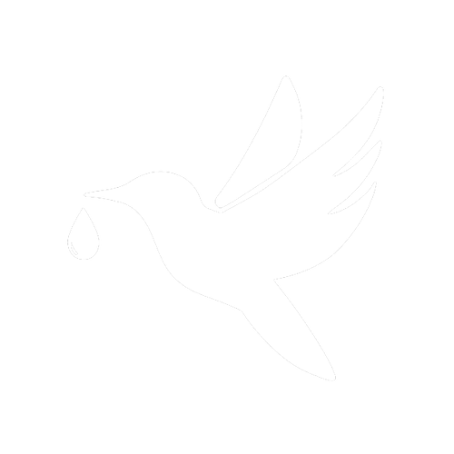 The AllIn Summit 2023